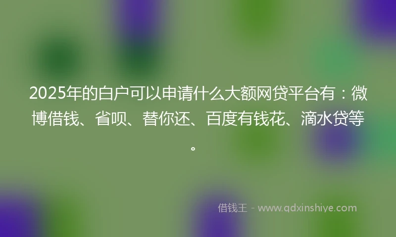 2025年的白户可以申请什么大额网贷平台有：微博借钱、省呗、替你还、百度有钱花、滴水贷等。