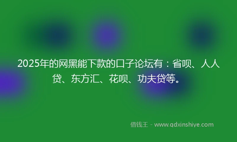 2025年的网黑能下款的口子论坛有：省呗、人人贷、东方汇、花呗、功夫贷等。