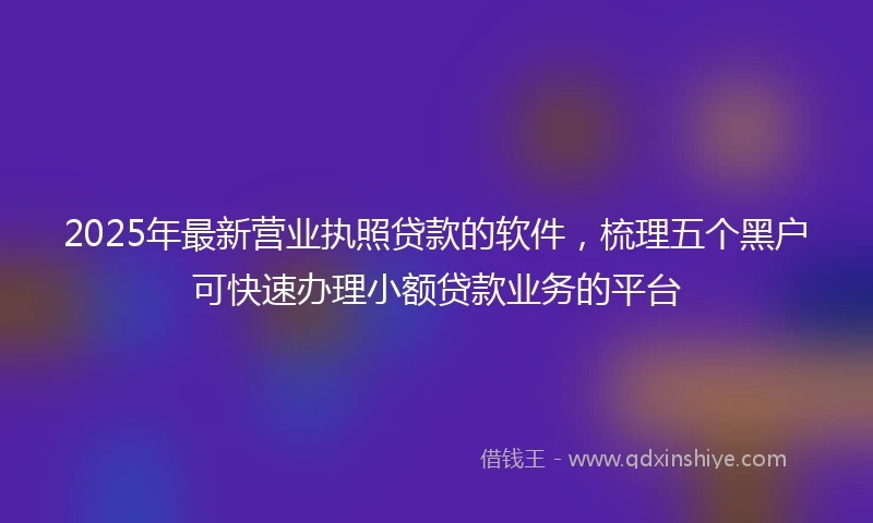 2025年最新营业执照贷款的软件，梳理五个黑户可快速办理小额贷款业务的平台