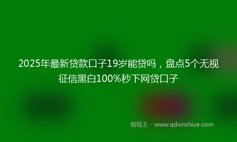 2025年最新贷款口子19岁能贷吗，盘点5个无视征信黑白100%秒下网贷口子