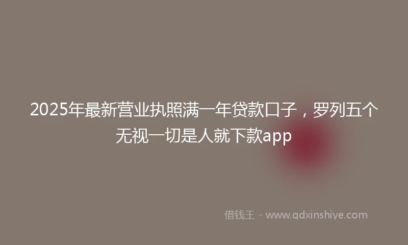 2025年最新营业执照满一年贷款口子，罗列五个无视一切是人就下款app