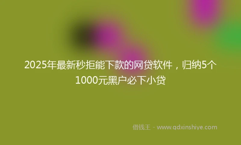 2025年最新秒拒能下款的网贷软件，归纳5个1000元黑户必下小贷