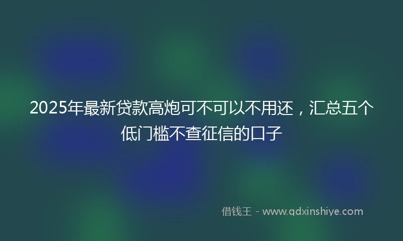 2025年最新贷款高炮可不可以不用还，汇总五个低门槛不查征信的口子