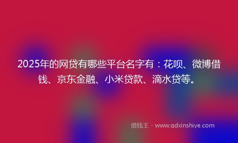 2025年的网贷有哪些平台名字有：花呗、微博借钱、京东金融、小米贷款、滴水贷等。