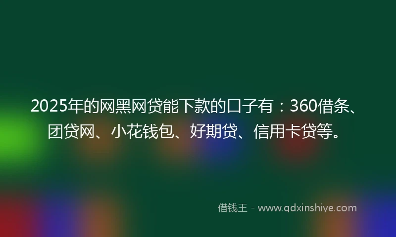 2025年的网黑网贷能下款的口子有：360借条、团贷网、小花钱包、好期贷、信用卡贷等。