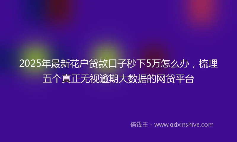 2025年最新花户贷款口子秒下5万怎么办，梳理五个真正无视逾期大数据的网贷平台