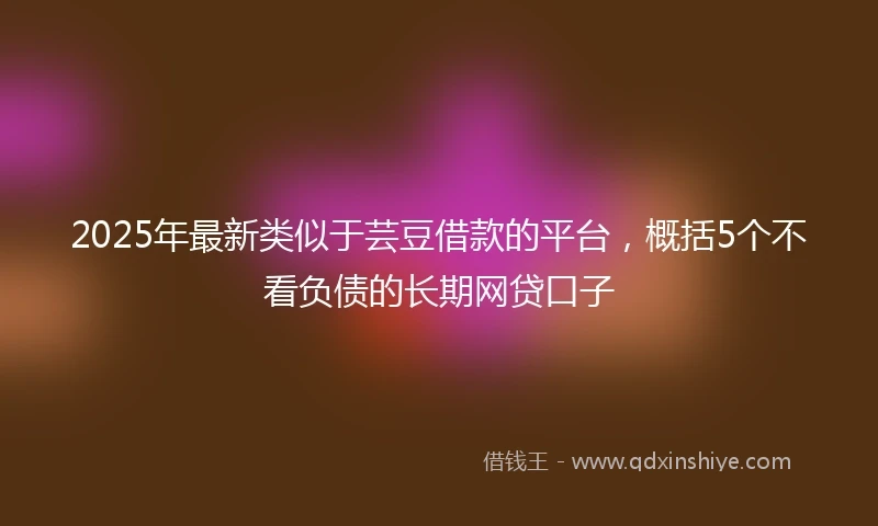 2025年最新类似于芸豆借款的平台，概括5个不看负债的长期网贷口子