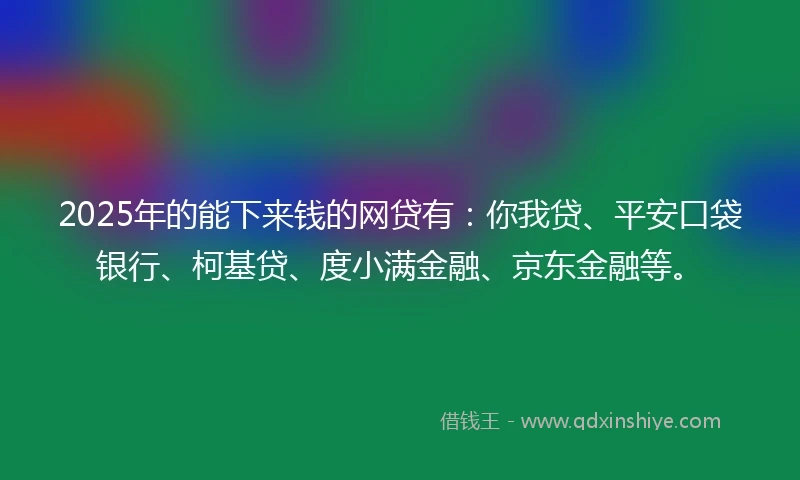 2025年的能下来钱的网贷有：你我贷、平安口袋银行、柯基贷、度小满金融、京东金融等。