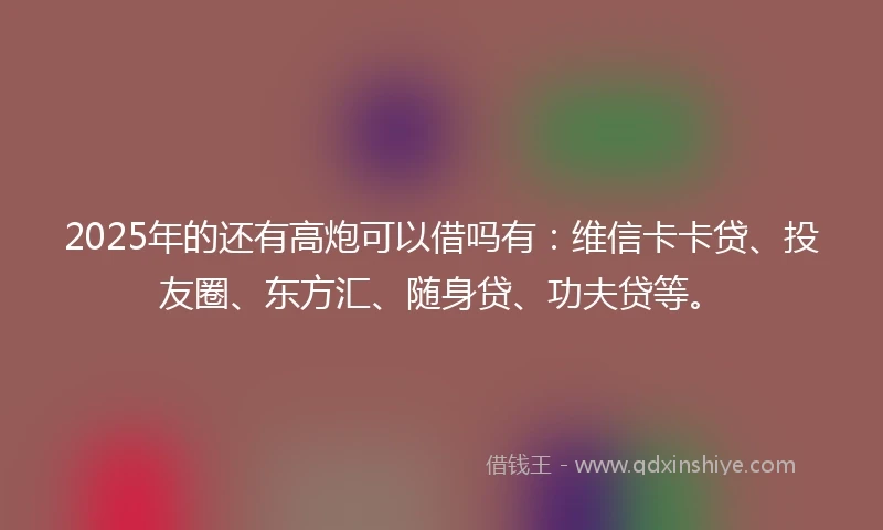 2025年的还有高炮可以借吗有:维信卡卡贷、投友圈、东方汇、随身贷、功夫贷等。