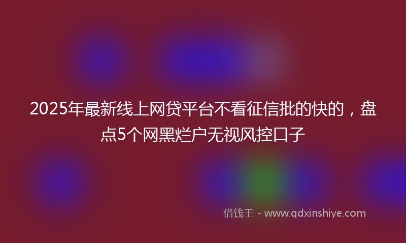 2025年最新线上网贷平台不看征信批的快的，盘点5个网黑烂户无视风控口子