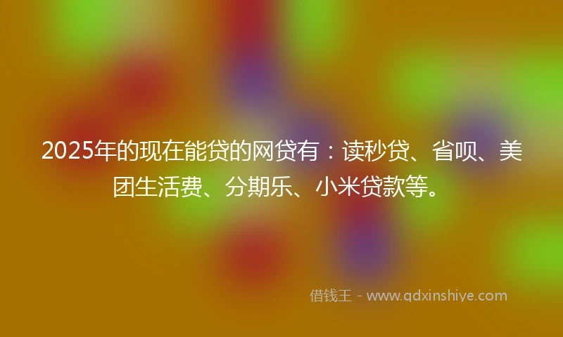 2025年的现在能贷的网贷有：读秒贷、省呗、美团生活费、分期乐、小米贷款等。