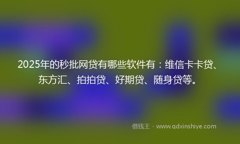 2025年的秒批网贷有哪些软件有：维信卡卡贷、东方汇、拍拍贷、好期贷、随身贷等。