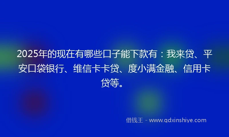 2025年的现在有哪些口子能下款有：我来贷、平安口袋银行、维信卡卡贷、度小满金融、信用卡贷等。