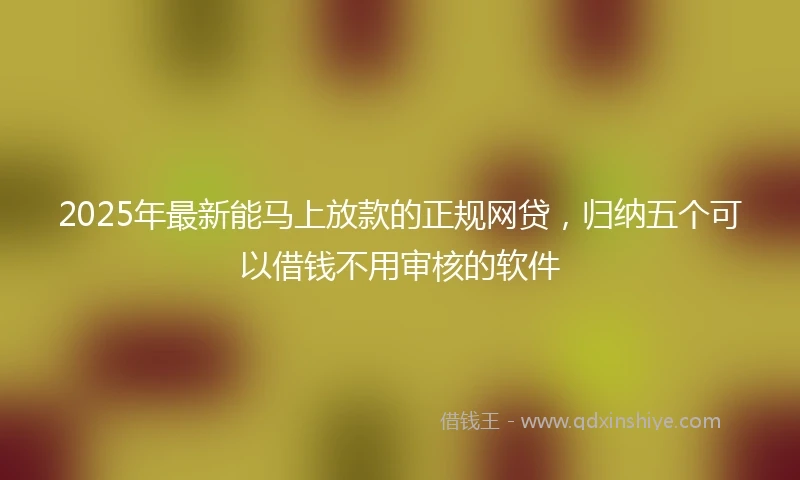 2025年最新能马上放款的正规网贷，归纳五个可以借钱不用审核的软件
