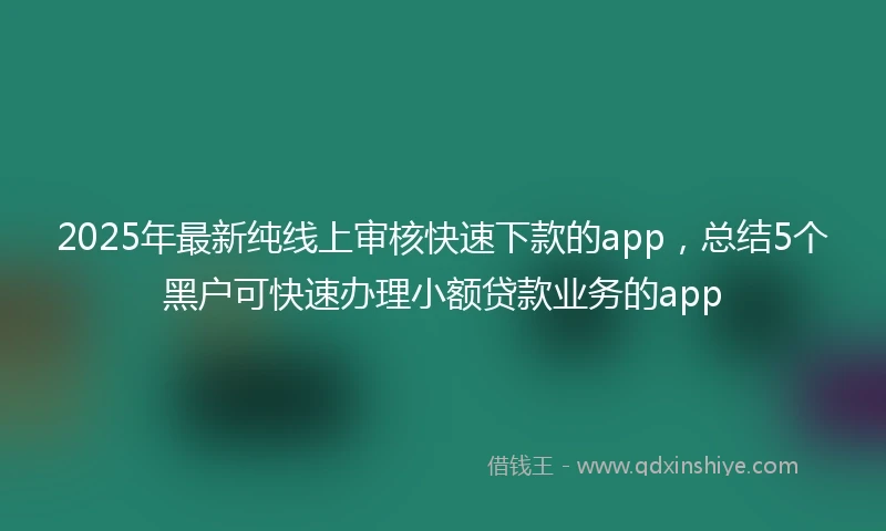 2025年最新纯线上审核快速下款的app，总结5个黑户可快速办理小额贷款业务的app