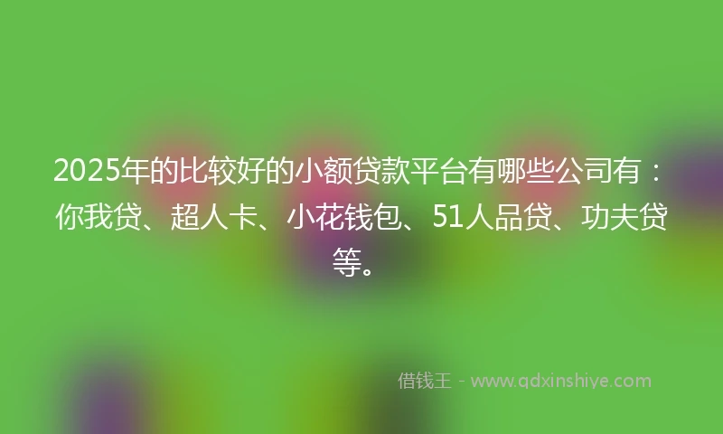 2025年的比较好的小额贷款平台有哪些公司有：你我贷、超人卡、小花钱包、51人品贷、功夫贷等。