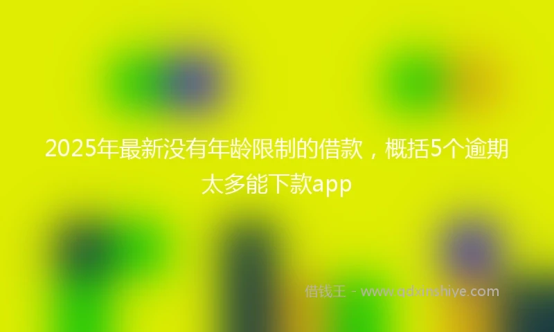2025年最新没有年龄限制的借款，概括5个逾期太多能下款app