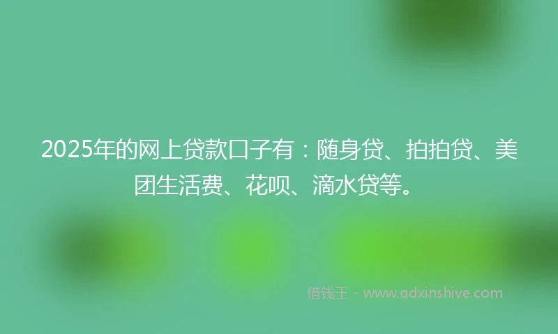 2025年的网上贷款口子有：随身贷、拍拍贷、美团生活费、花呗、滴水贷等。