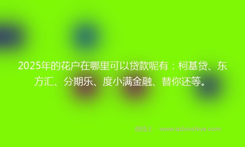 2025年的花户在哪里可以贷款呢有：柯基贷、东方汇、分期乐、度小满金融、替你还等。