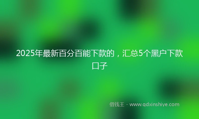 2025年最新百分百能下款的，汇总5个黑户下款口子