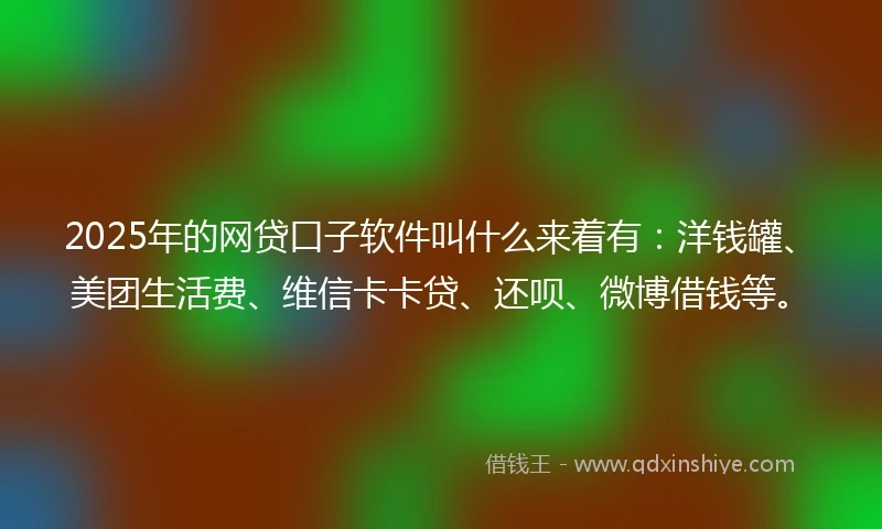 2025年的网贷口子软件叫什么来着有：洋钱罐、美团生活费、维信卡卡贷、还呗、微博借钱等。