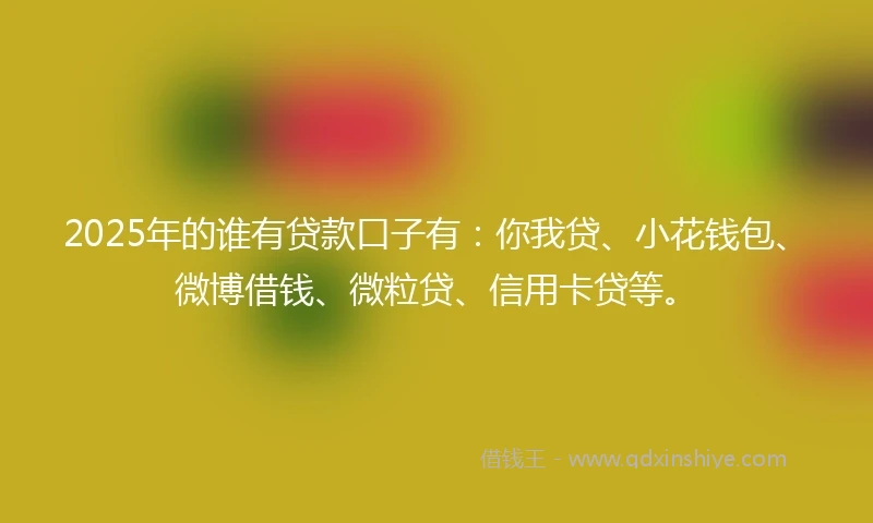 2025年的谁有贷款口子有:你我贷、小花钱包、微博借钱、微粒贷、信用卡贷等。