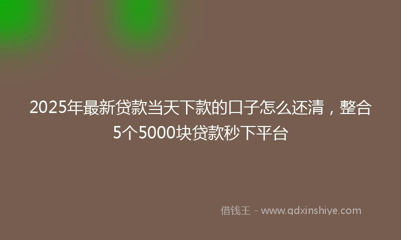 2025年最新贷款当天下款的口子怎么还清，整合5个5000块贷款秒下平台