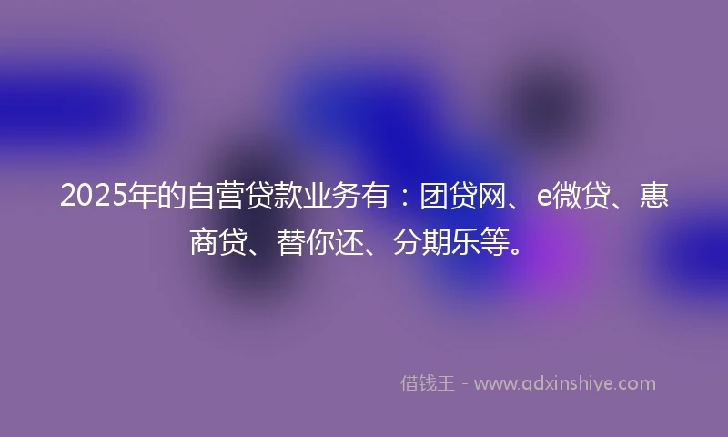 2025年的自营贷款业务有：团贷网、e微贷、惠商贷、替你还、分期乐等。