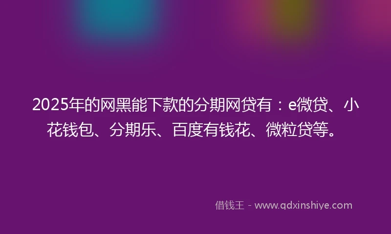 2025年的网黑能下款的分期网贷有：e微贷、小花钱包、分期乐、百度有钱花、微粒贷等。