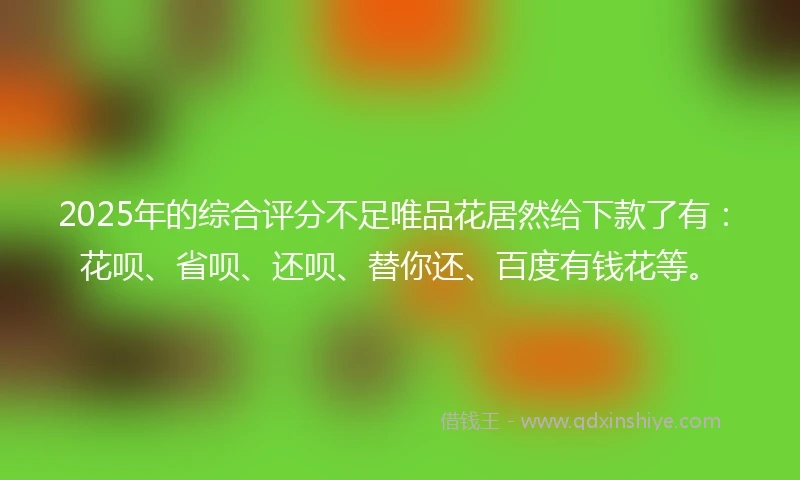 2025年的综合评分不足唯品花居然给下款了有：花呗、省呗、还呗、替你还、百度有钱花等。