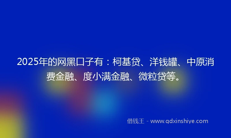 2025年的网黑口子有：柯基贷、洋钱罐、中原消费金融、度小满金融、微粒贷等。