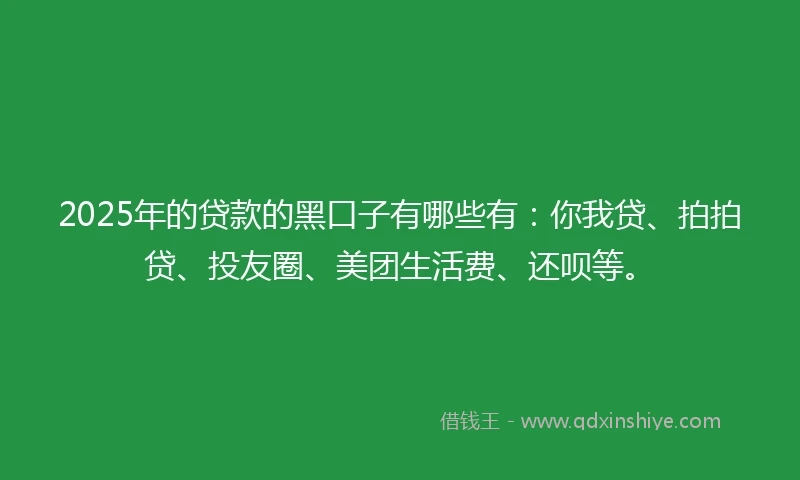 2025年的贷款的黑口子有哪些有：你我贷、拍拍贷、投友圈、美团生活费、还呗等。