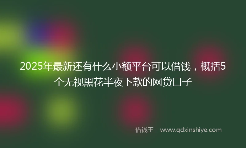 2025年最新还有什么小额平台可以借钱，概括5个无视黑花半夜下款的网贷口子