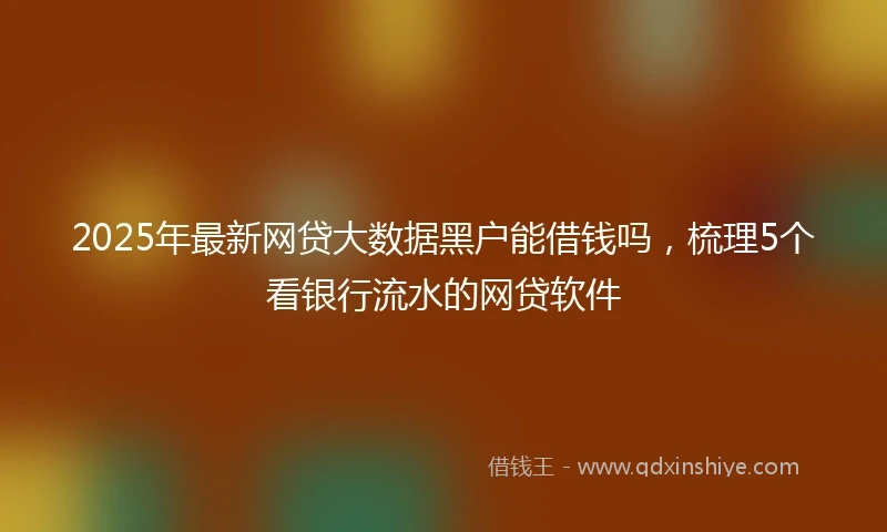 2025年最新网贷大数据黑户能借钱吗，梳理5个看银行流水的网贷软件