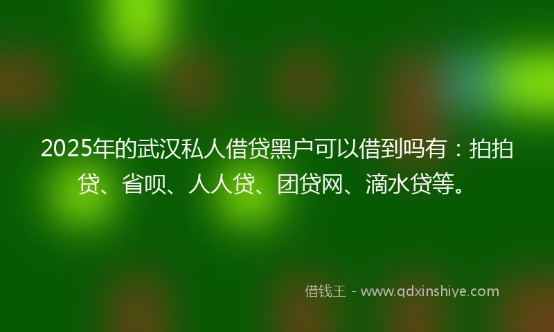 2025年的武汉私人借贷黑户可以借到吗有：拍拍贷、省呗、人人贷、团贷网、滴水贷等。