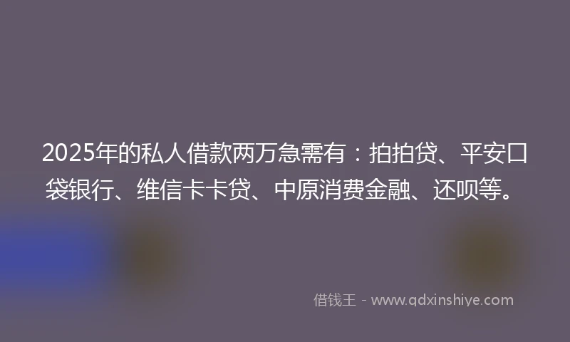 2025年的私人借款两万急需有：拍拍贷、平安口袋银行、维信卡卡贷、中原消费金融、还呗等。