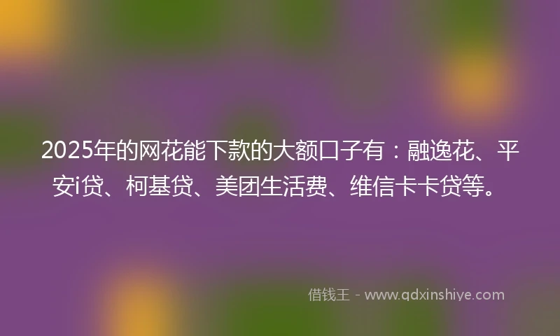 2025年的网花能下款的大额口子有：融逸花、平安i贷、柯基贷、美团生活费、维信卡卡贷等。
