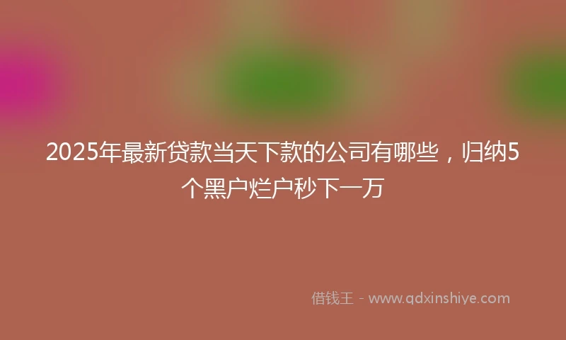 2025年最新贷款当天下款的公司有哪些，归纳5个黑户烂户秒下一万
