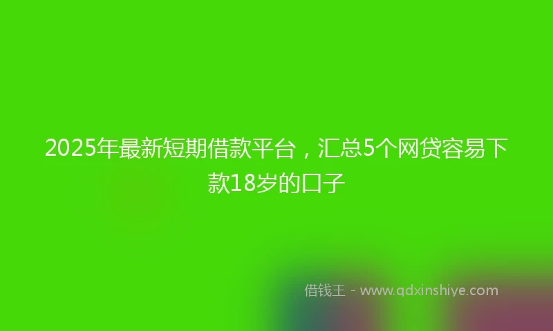 2025年最新短期借款平台，汇总5个网贷容易下款18岁的口子