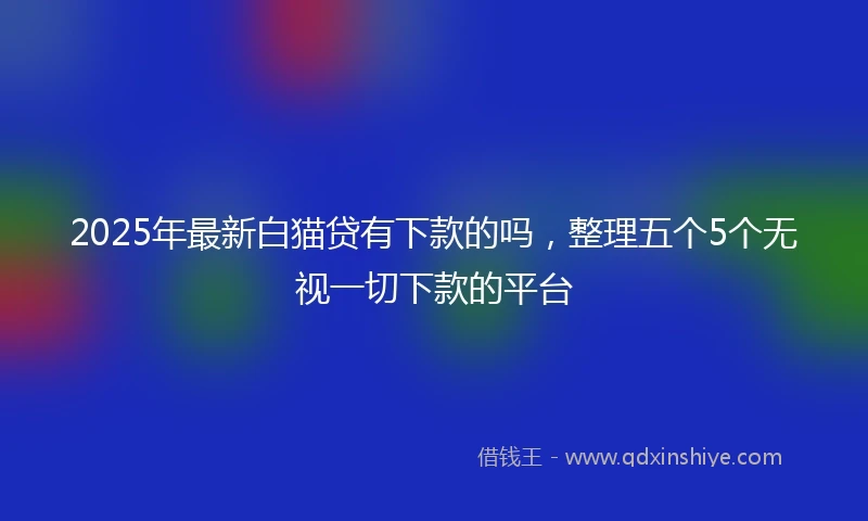 2025年最新白猫贷有下款的吗，整理五个5个无视一切下款的平台