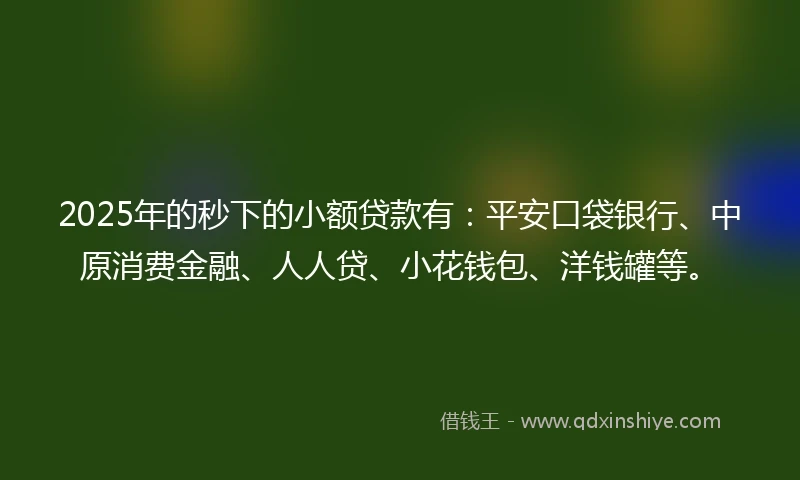 2025年的秒下的小额贷款有：平安口袋银行、中原消费金融、人人贷、小花钱包、洋钱罐等。