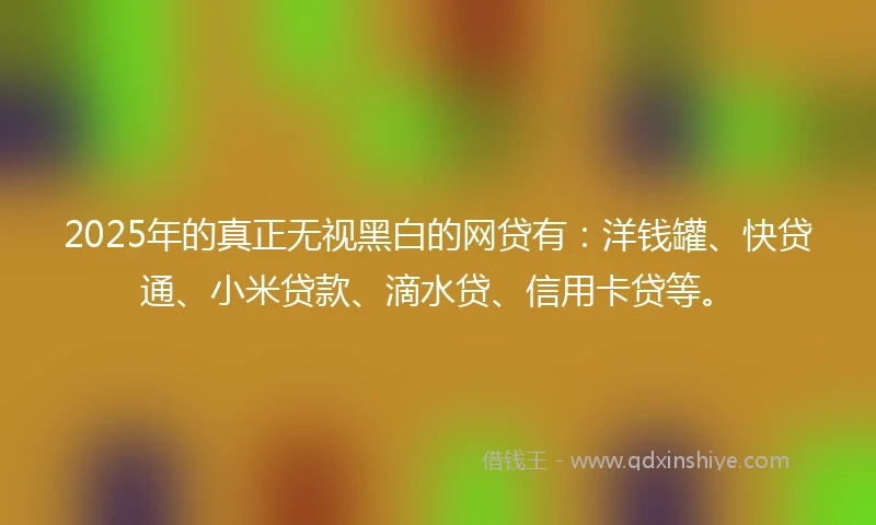 2025年的真正无视黑白的网贷有：洋钱罐、快贷通、小米贷款、滴水贷、信用卡贷等。