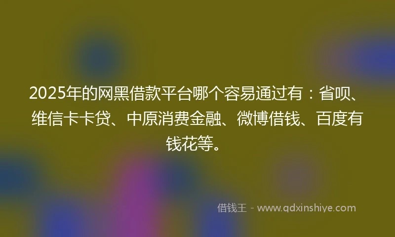 2025年的网黑借款平台哪个容易通过有：省呗、维信卡卡贷、中原消费金融、微博借钱、百度有钱花等。