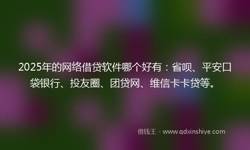 2025年的网络借贷软件哪个好有：省呗、平安口袋银行、投友圈、团贷网、维信卡卡贷等。