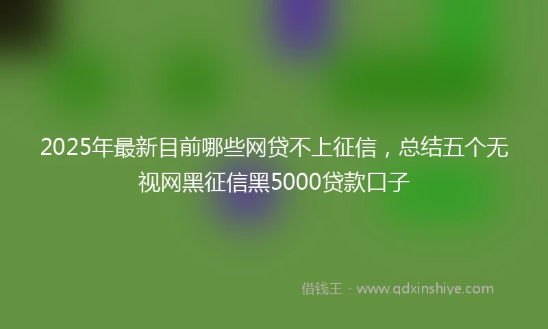 2025年最新目前哪些网贷不上征信，总结五个无视网黑征信黑5000贷款口子