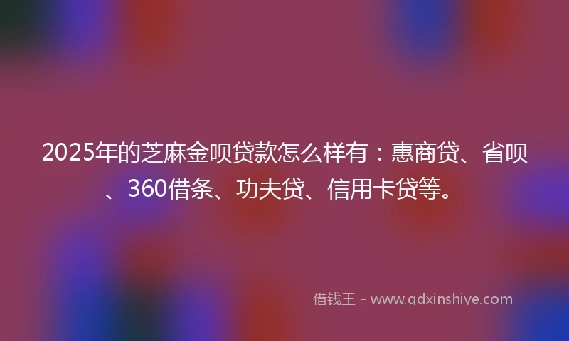 2025年的芝麻金呗贷款怎么样有：惠商贷、省呗、360借条、功夫贷、信用卡贷等。