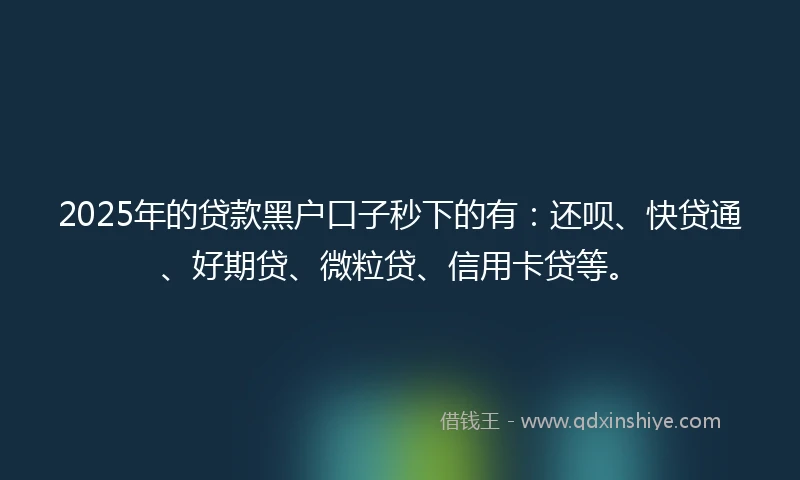 2025年的贷款黑户口子秒下的有：还呗、快贷通、好期贷、微粒贷、信用卡贷等。