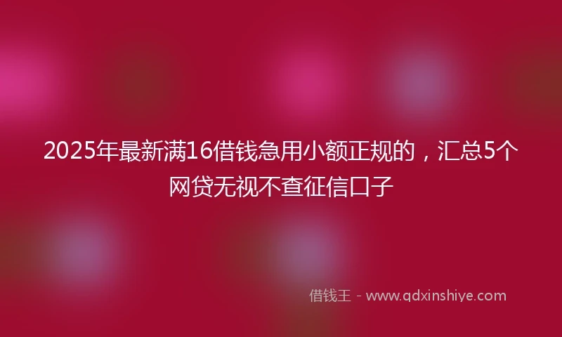 2025年最新满16借钱急用小额正规的，汇总5个网贷无视不查征信口子
