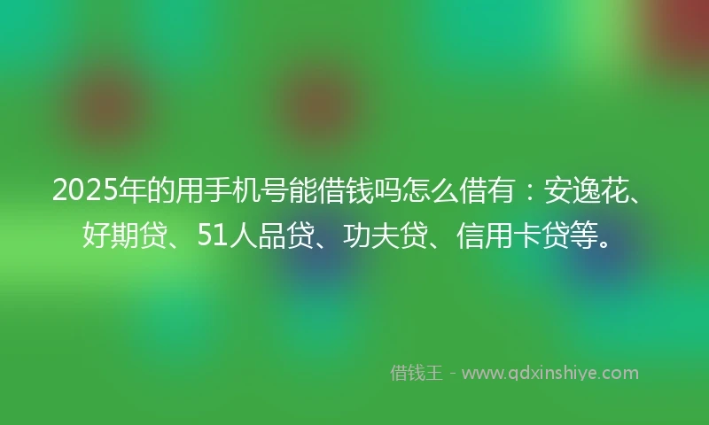 2025年的用手机号能借钱吗怎么借有：安逸花、好期贷、51人品贷、功夫贷、信用卡贷等。