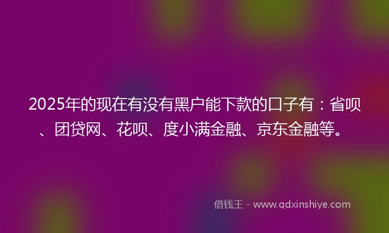 2025年的现在有没有黑户能下款的口子有：省呗、团贷网、花呗、度小满金融、京东金融等。